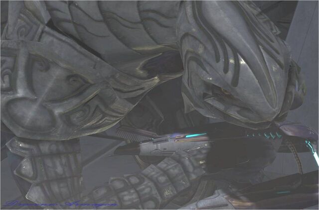 File:Arbiter CXWI.jpg