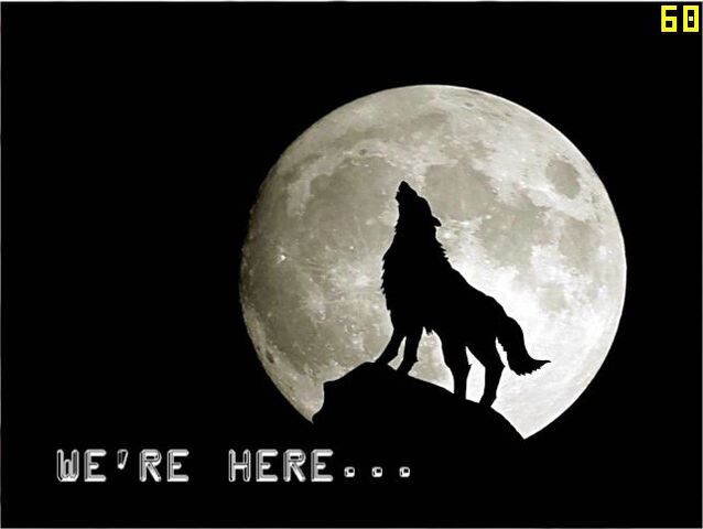 File:WE'RE HERE.jpg