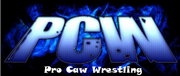 080523213256pcw-wp
