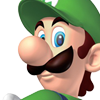 File:Luigi head shot.png