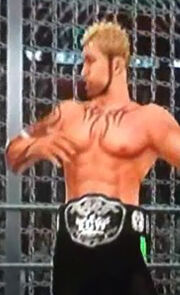 Ecwchampion