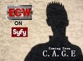 Thumbnail for version as of 18:50, July 29, 2009