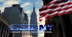 Csi ny