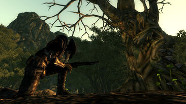 ScreenShot125
