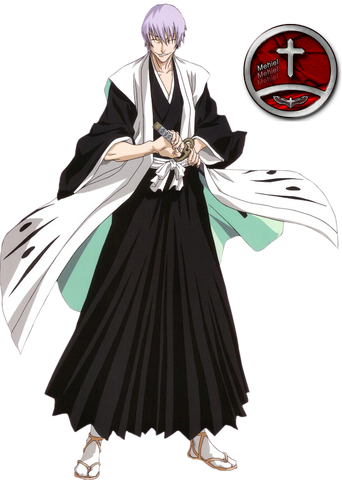 Tiedosto:IchimaruGin.png