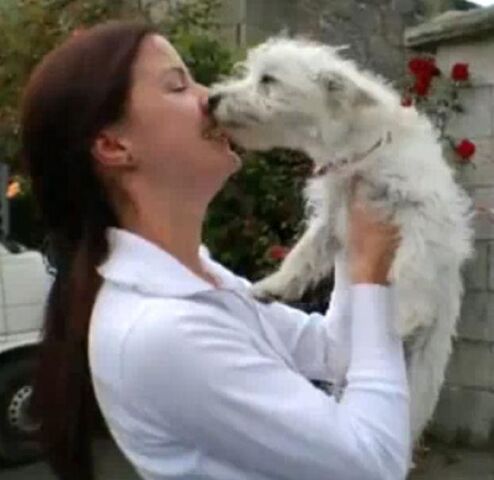 File:Lynn Hilary and the white terrier.jpg