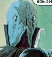 File:Walnuthead.jpg