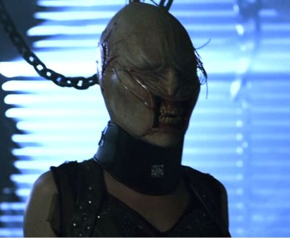 File:Female chatterer revelations.jpg