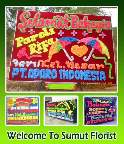 File:Display sumut group.jpg