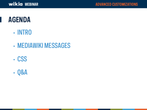 Advanced Customization Webinar Slide03