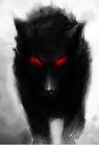 Sombra Lobo Negro