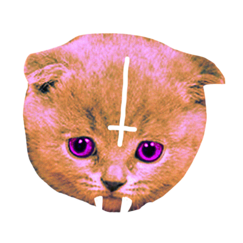 File:Tumblr static 8z3xizrzu48w0g8ggso4og0k0.png