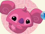 NEW PET KOALA ANIMALJAM!