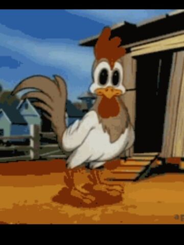File:Chickenjpg.jpg