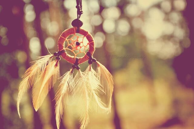 File:Dreamcatcher3.jpg