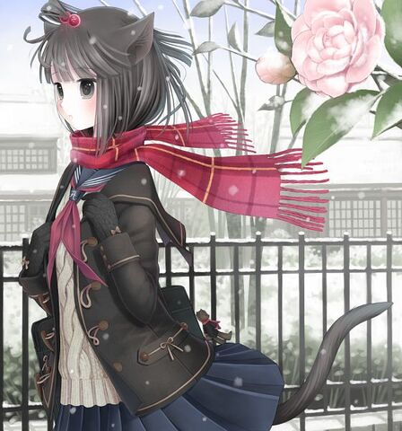 File:Kuroinu.600.856342.jpg