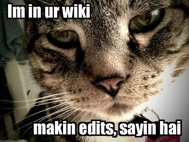 File:Lol gatz.jpg