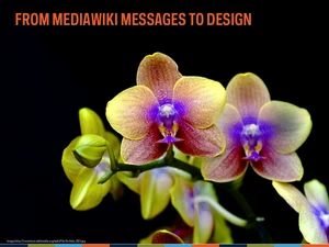 Advanced Customization Webinar Slide14