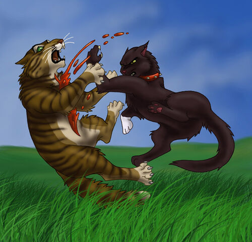File:Warriors-warrior-cats-2582276-600-576.jpg