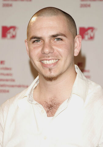 File:Pitbull1.jpg