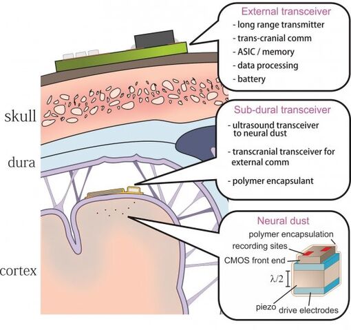 File:Fig1-4.jpg