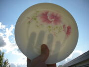 Transparent porcelain.jpg