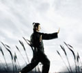 Kungfu.jpg