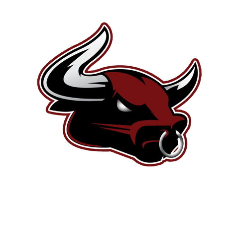 File:Losangelesbulls logozetaB.png