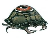 Z-Oculus
