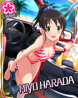 Card 100261 xl