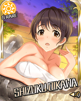 Card 300101 xl