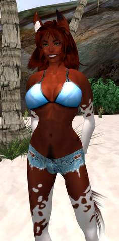File:Rhiannon Beach 01.png