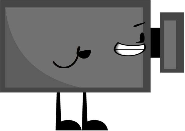 File:Camera Pose 2.png