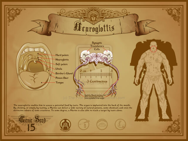 File:Space marine neuroglottis by the first magelord-d4beau0.jpg