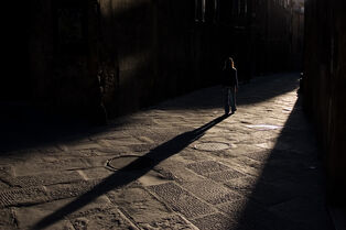 Shadow