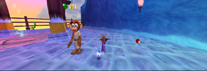 Dolphin 2013-02-16 09-59-02-97
