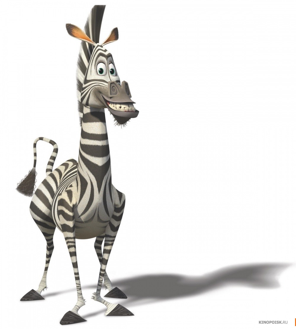 Marty (Madagascar) | Fictional Characters Wiki | FANDOM powered by Wikia