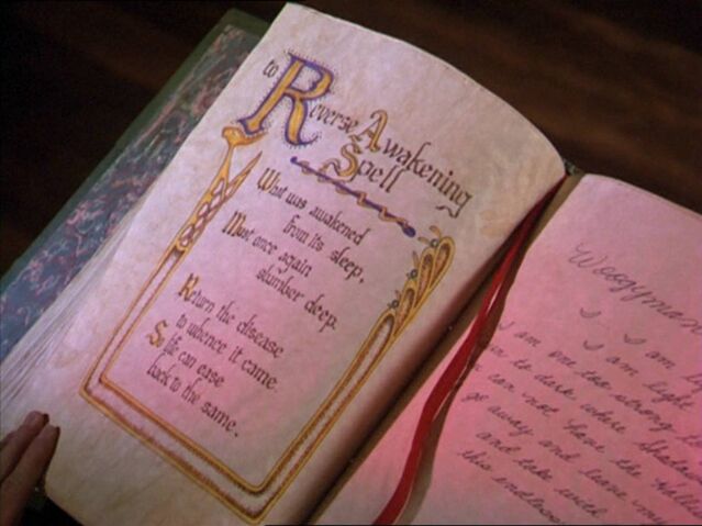 File:ToReverseAwakeningSpell.jpg