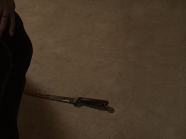 File:03x17 - Mistake 2.jpg