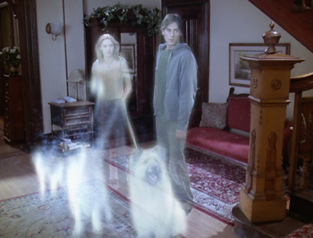 File:6x01P10.png