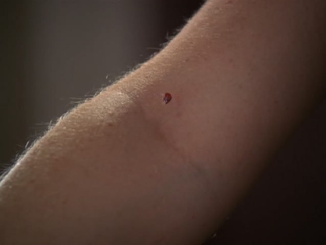 File:5x06P17.png