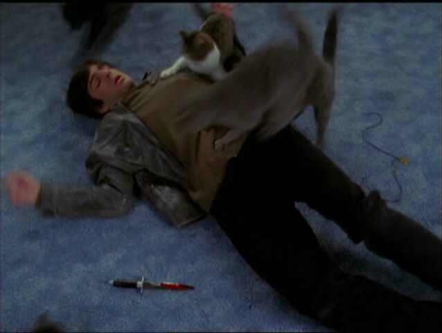 File:Felineunterattack.jpg