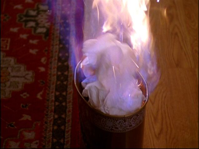 File:ChristyFlames.jpg