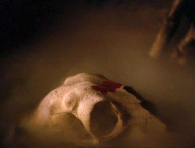File:4x16-CauldronSkull.jpg