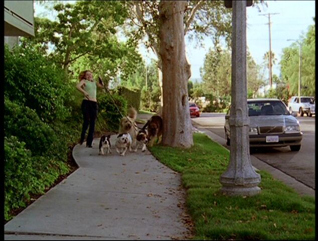 File:PaigeDogWalker.jpg