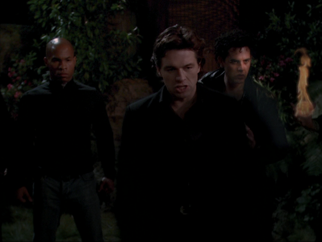 File:8x14P11.png