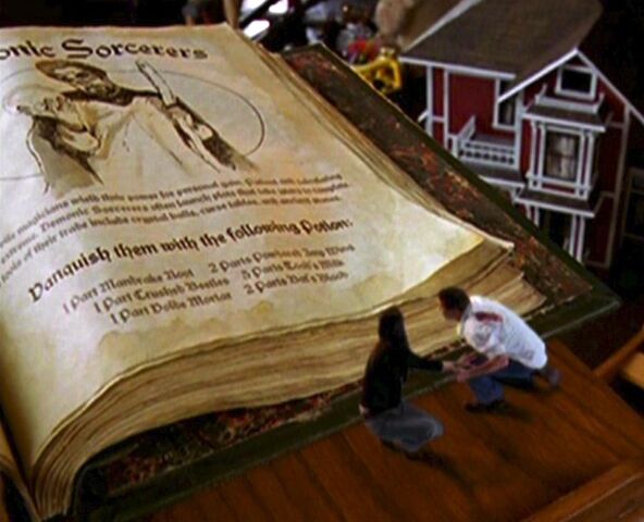 File:DemonicSorcerersPage.jpg