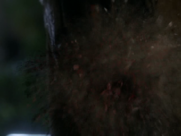 File:5x19P14.png