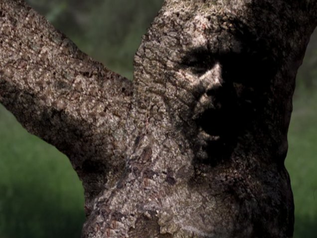 File:5x19-43.png