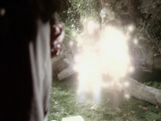 5x19NymphLocate